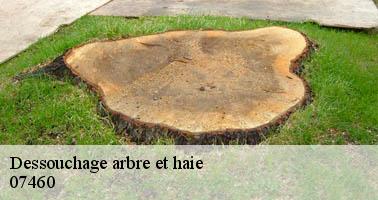 Dessouchage arbre et haie  beaulieu-07460 Debord elagage