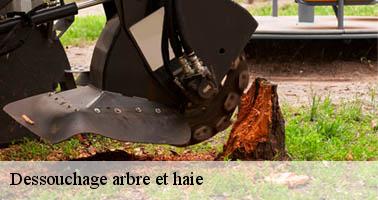 Dessouchage arbre et haie  beaulieu-07460 Debord elagage