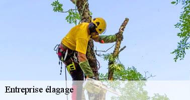 Entreprise élagage  malarce-sur-la-thines-07140 Debord elagage