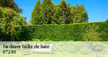 Jardinier taille de haie  chateauneuf-de-vernoux-07240 Debord elagage