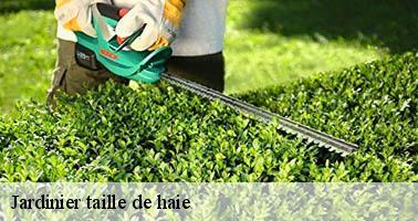 Jardinier taille de haie  faugeres-07230 Debord elagage